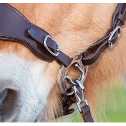 Edix Halo Shanks (Pair)